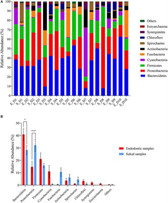 <mark class="highlighted">Endodontic</mark> Microbiome of Fractured Non-vital Teeth in Dogs Determined by 16S rRNA Gene Sequencing